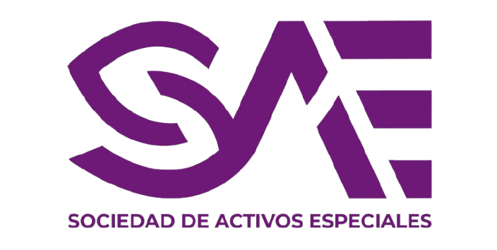 Sociedad de activos Especiales